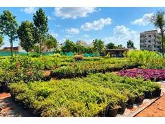 पौधों की क्वालिटी सुधारने के लिए Urvann ने बदला मॉडल, अब खुद के फार्म्स से होगी डिलीवरी