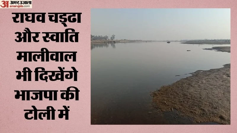 यमुना को प्रदूषण मुक्त बनाने के लिए दिल्ली सरकार और भाजपा का महा-अभियान शुरू