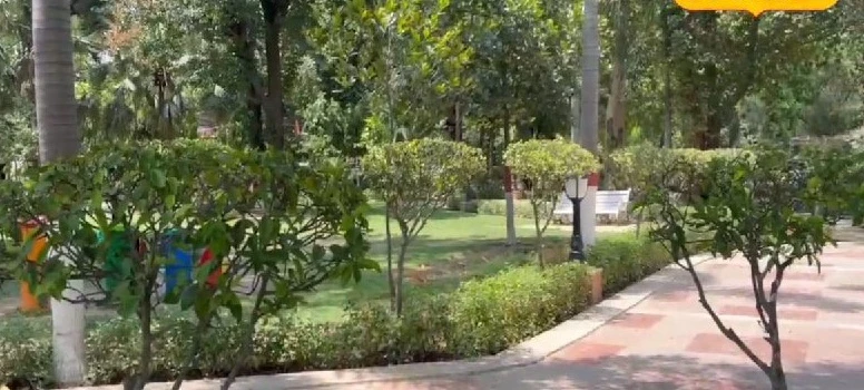 दिल्ली में NGT के सख्त निर्देश: पार्कों की फंडिंग और सुरक्षा के लिए कड़े कदम उठाए गए