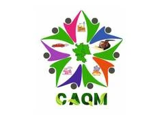 CAQM का बड़ा एक्शन: NCR में 17 प्रोजेक्ट्स और इंडस्ट्रीज बंद करने के आदेश, एमिशन डेडलाइन भी बढ़ाई