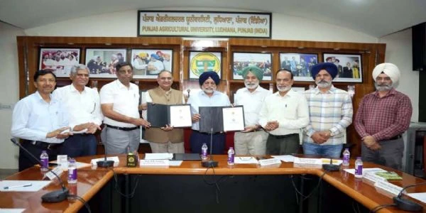 हरियाणा और पंजाब कृषि विश्वविद्यालय ने मिलाया हाथ, कृषि अनुसंधान में बढ़ेगा सहयोग