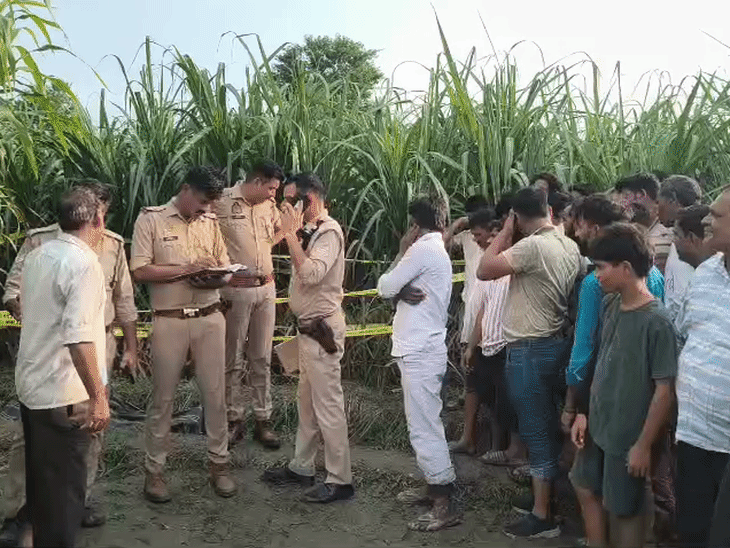 मेरठ में पोते के सामने आवारा कुत्तों ने किसान को नोचकर मार डाला, आधा शरीर बना कंकाल