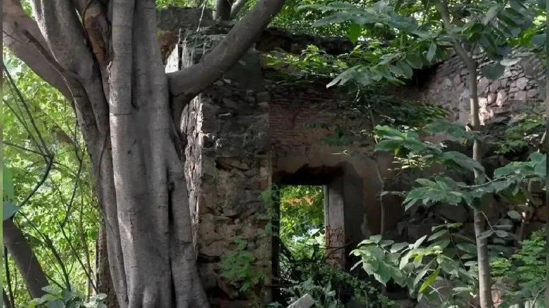 दिल्ली में फ्लाईओवर के नीचे मिला 300 साल पुराना मुगलकालीन सराय जुलाना