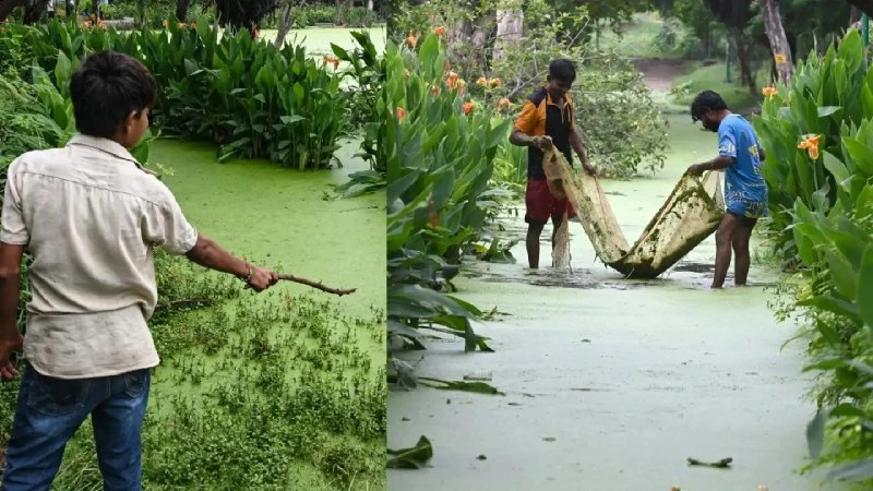 दिल्ली के सभी पार्कों में सुरक्षा सख्त, डीडीए ने लागू किए नए नियम
